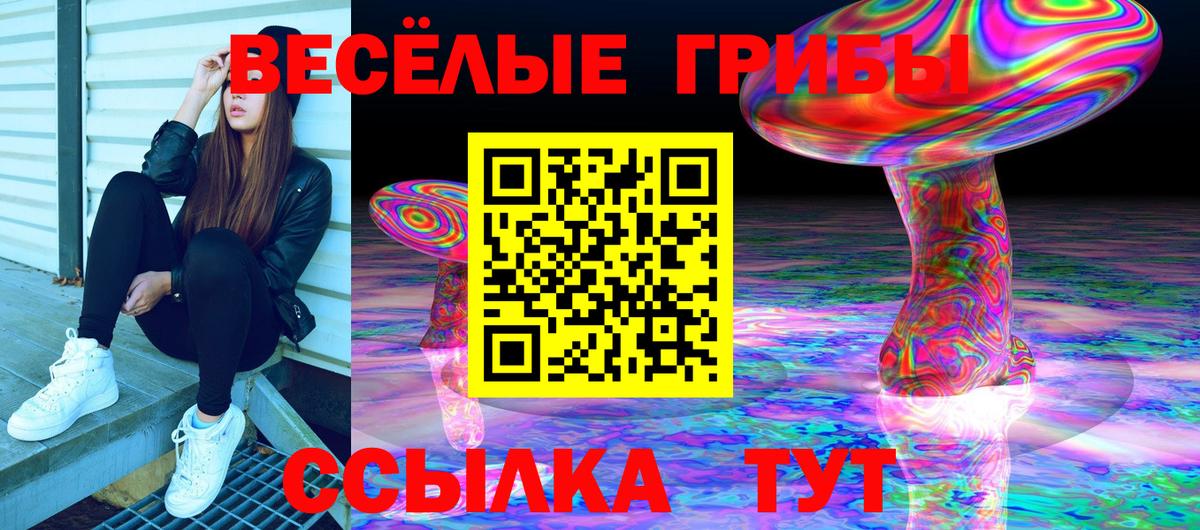 Магнитогорск  Псилоцибиновые грибы Psilocybine cubensis  Вход с VPN  Псилоцибиновые грибы Psilocybe 
